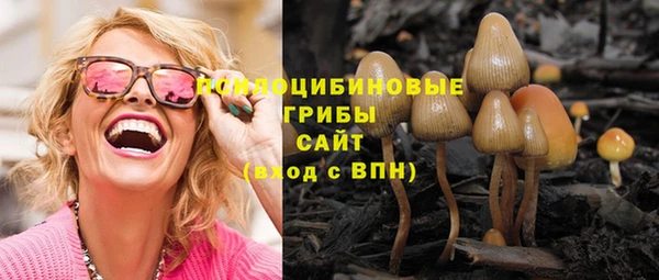 спиды Белоозёрский