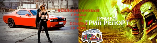 герыч Богородицк